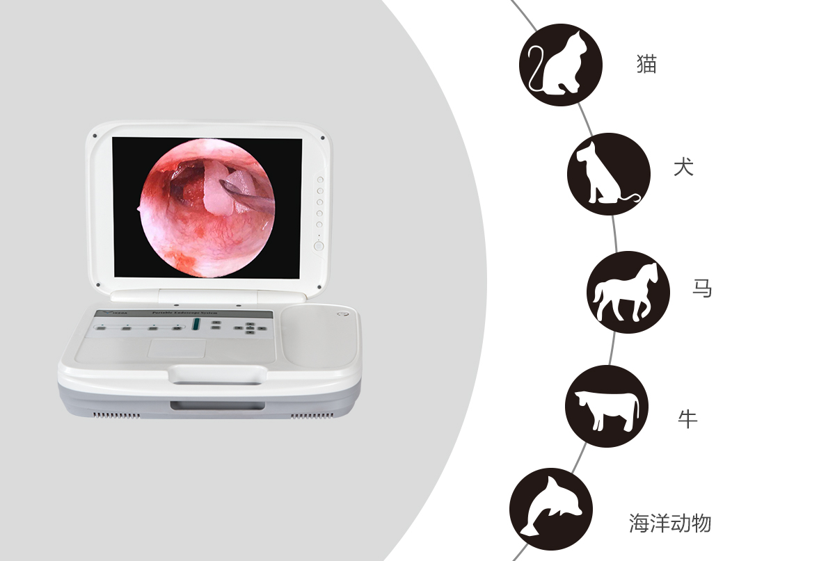 內窺鏡攝像機的應用領域有哪些？