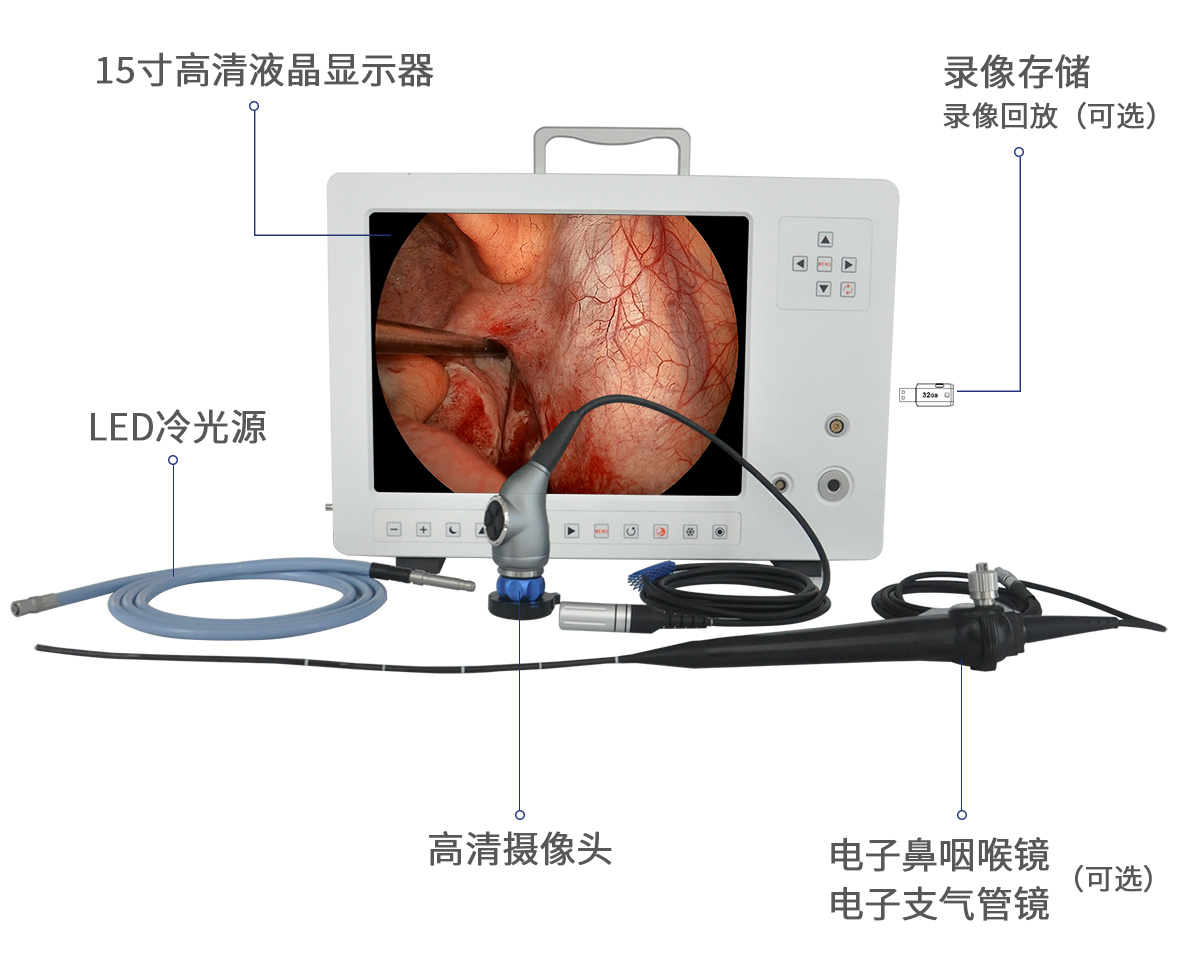 動(dòng)物支氣管鏡 VET-9610