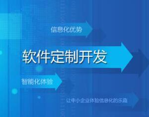 軟件系統(tǒng)定制開發(fā)